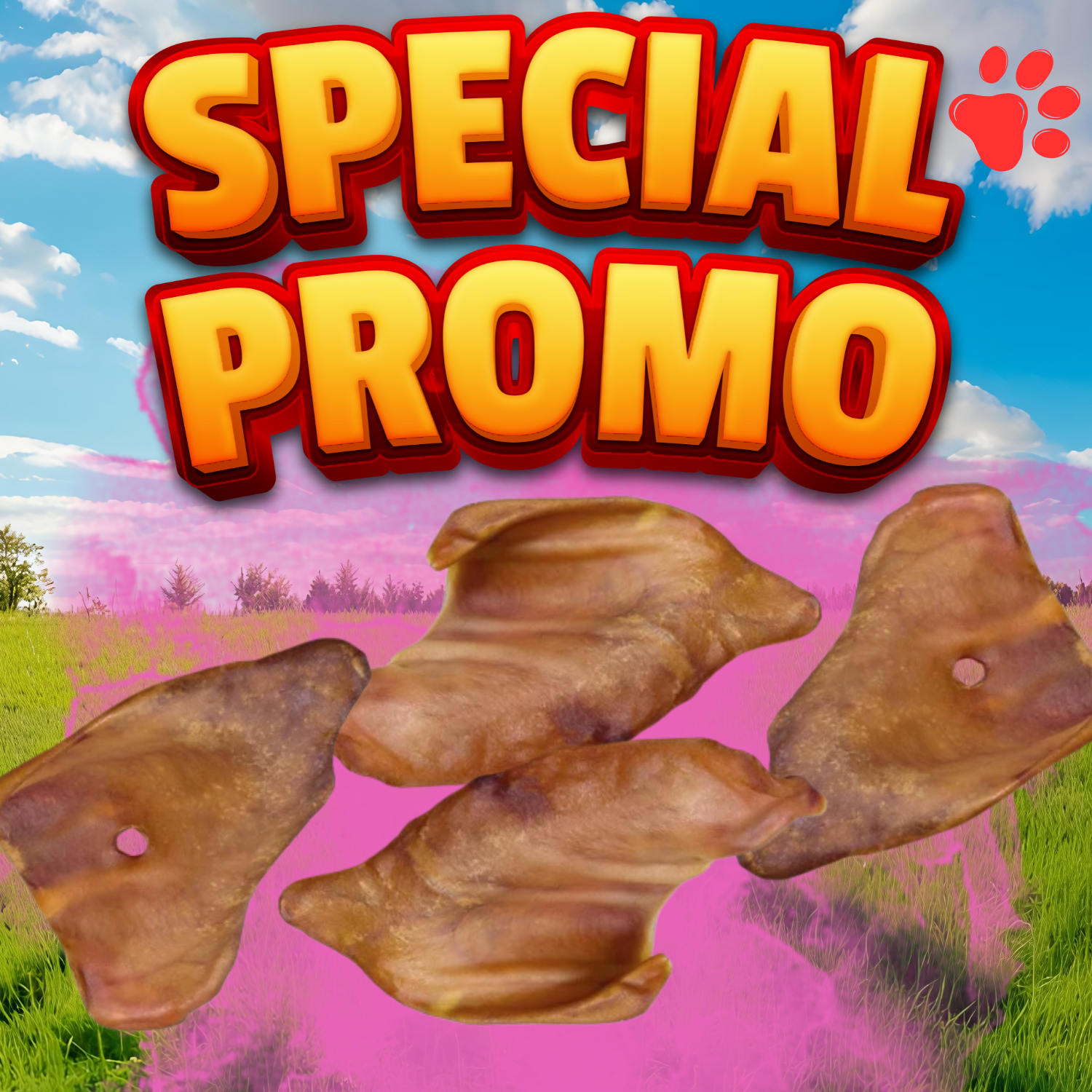 Oreille de Cochon 20 pces