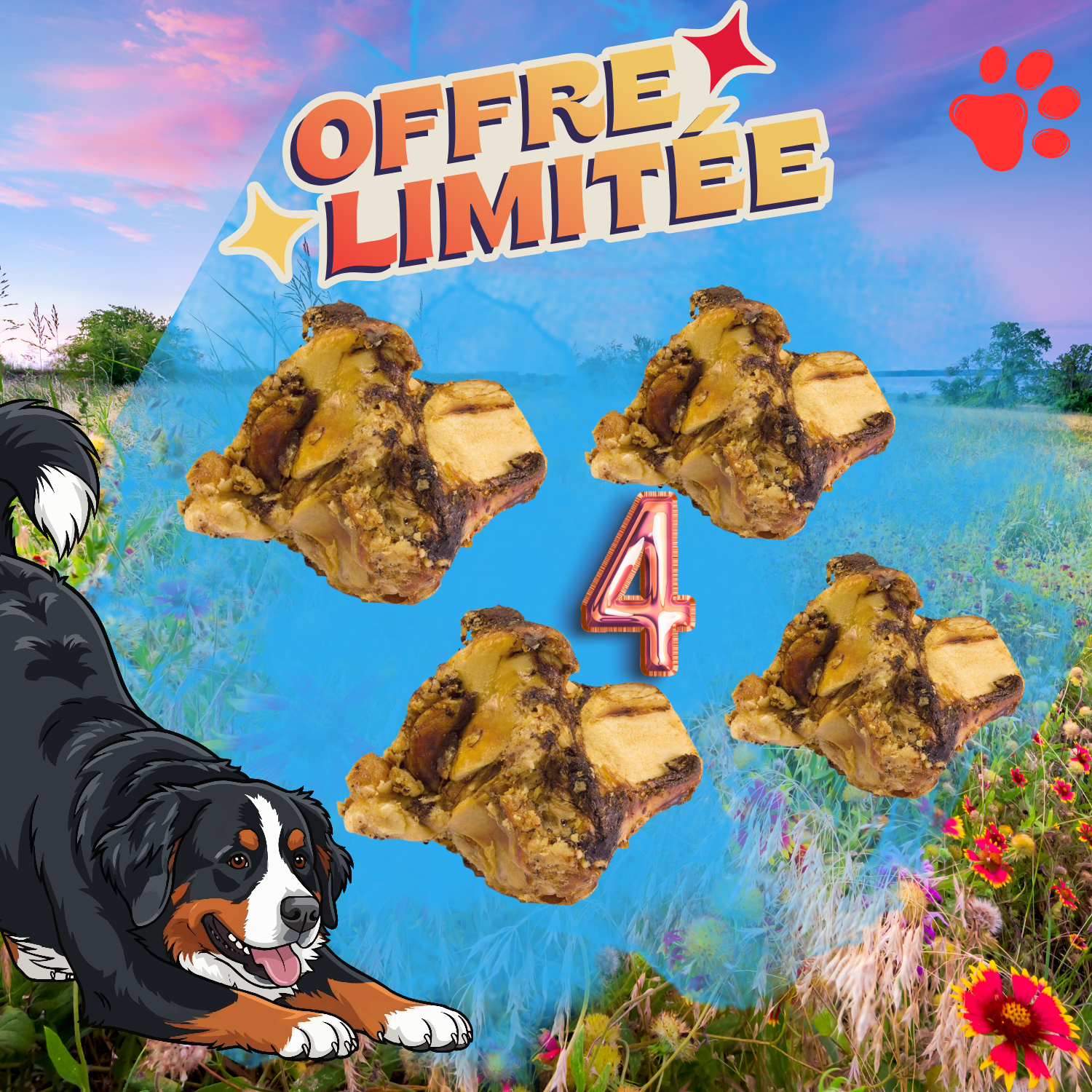 Os de Bœuf tête 2.5kg x4