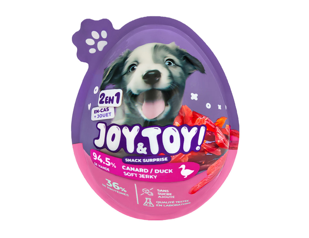 Joy&toy "CANARD"