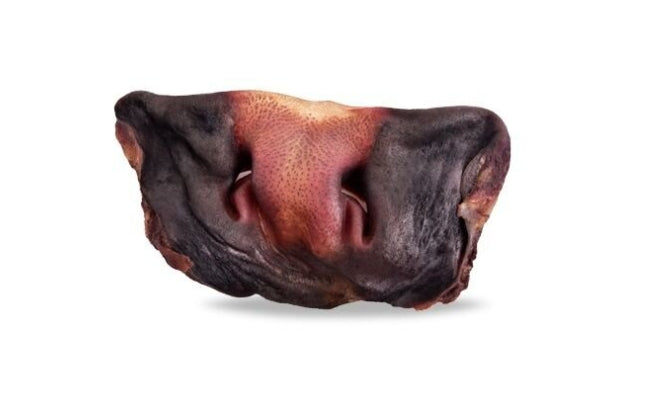 Museau de bœuf fumé