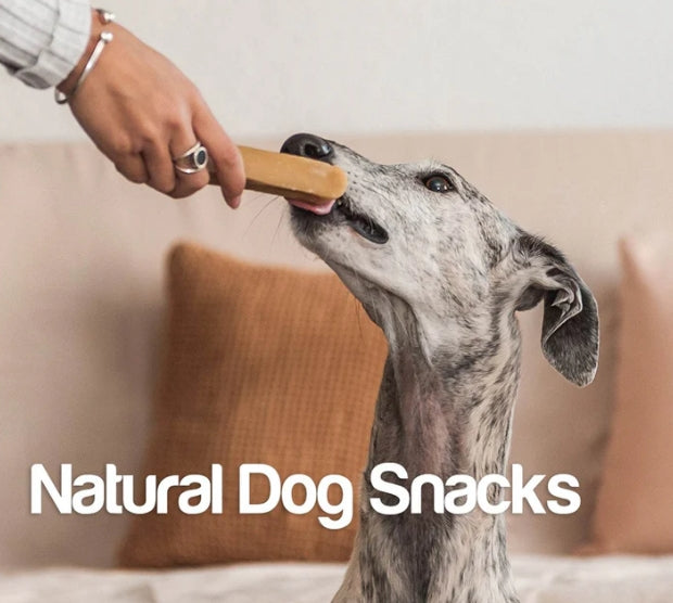 Box Arquivet chien 8 x 100gr