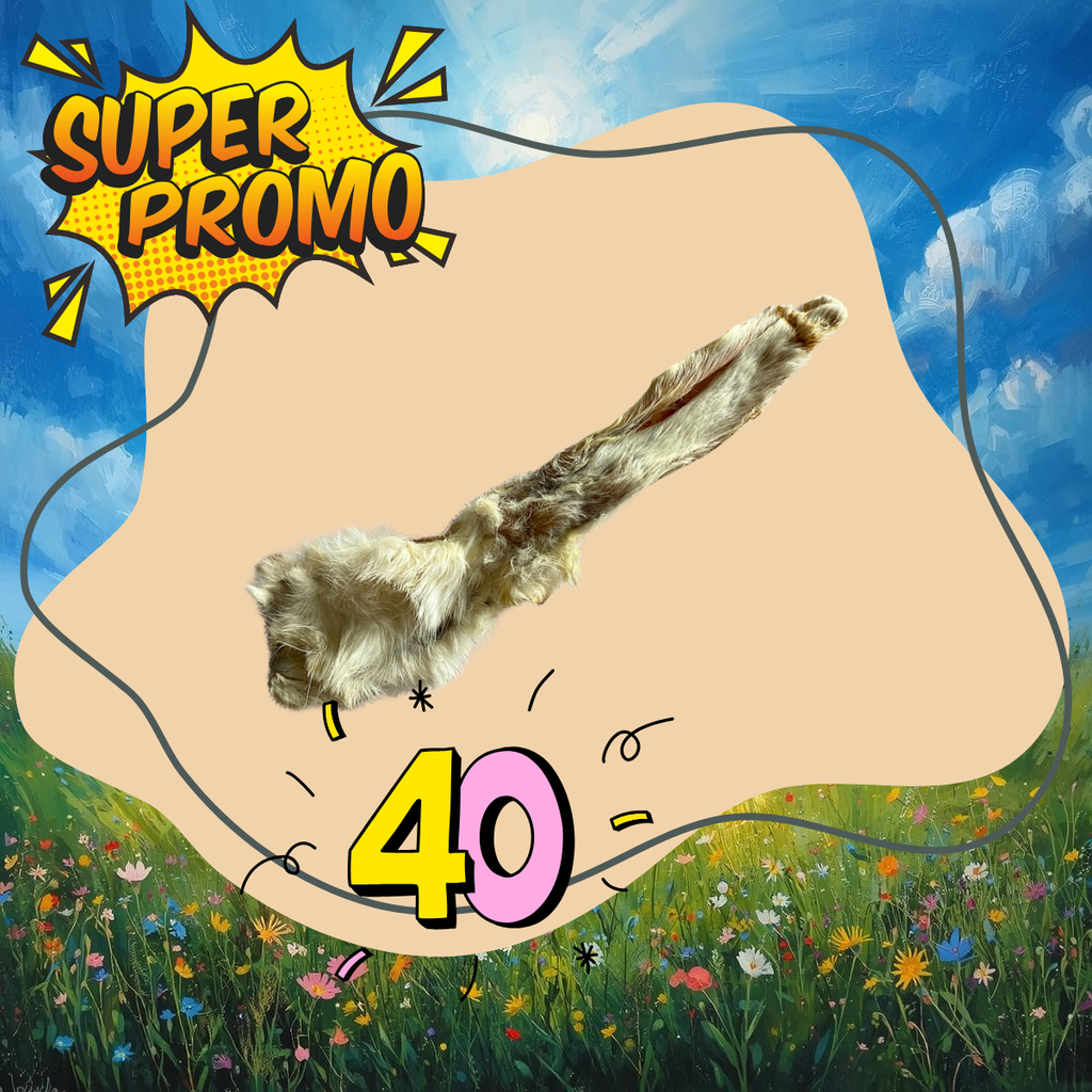 Oreilles de lapin 40 pces