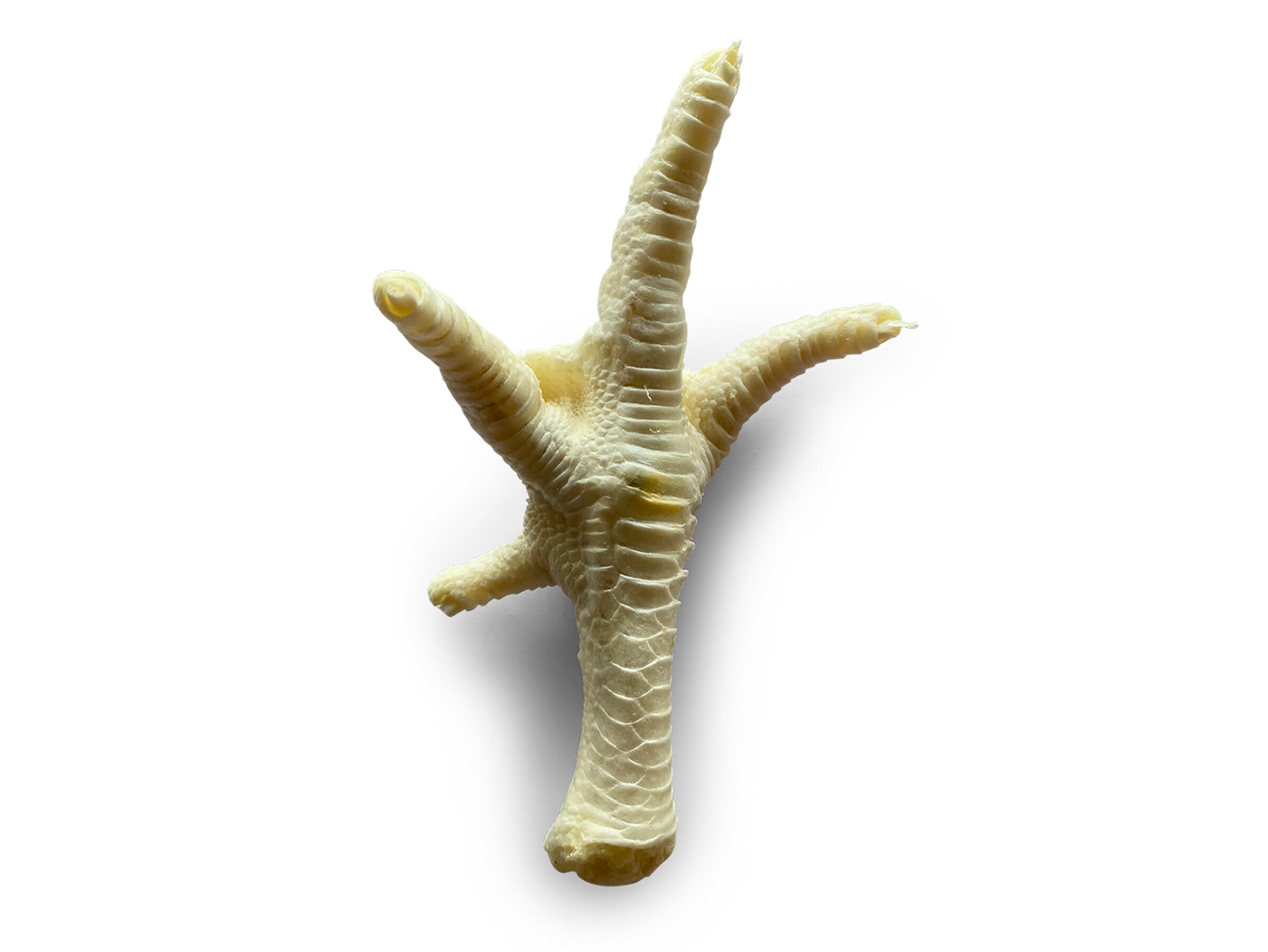 Pattes de poulet blanches 50 pces