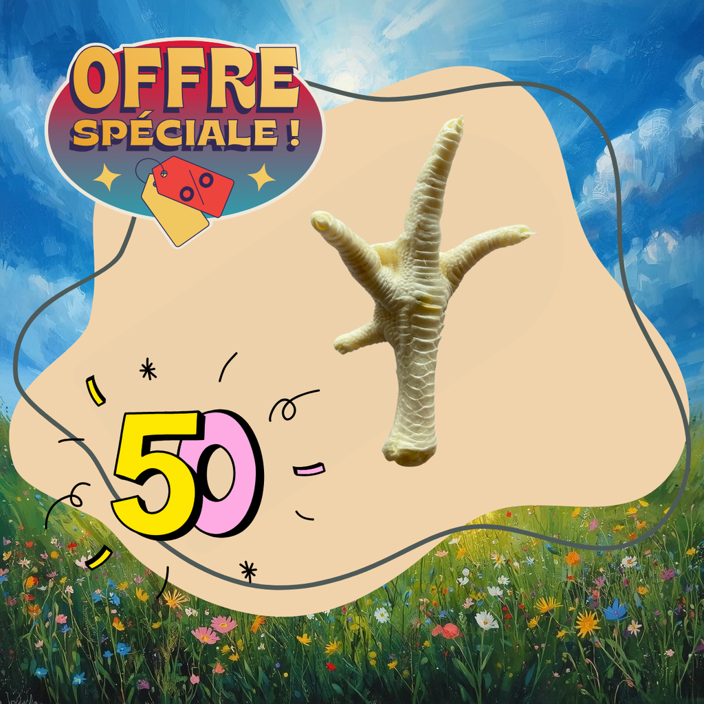 Pattes de poulet blanches 50 pces