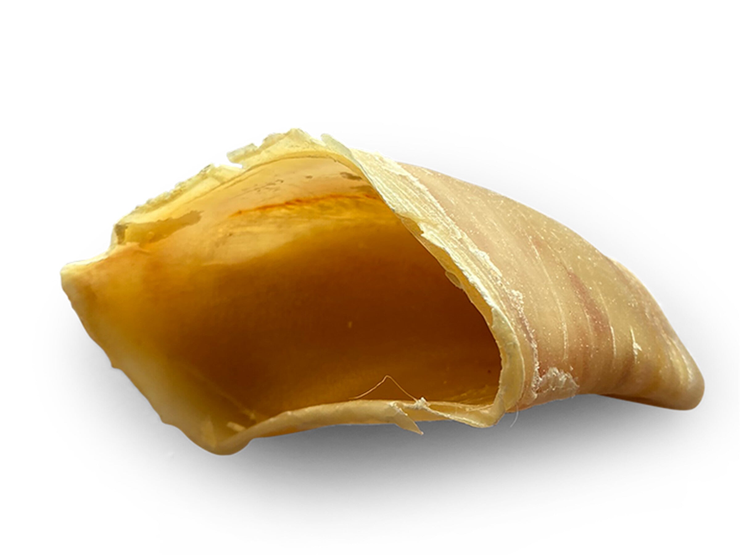 Sabot de bœuf 40pces