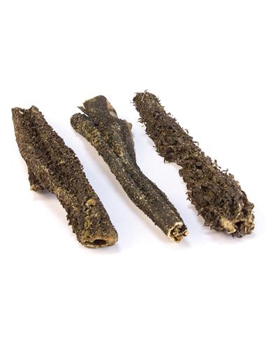 Tripes de buffle 100gr